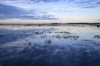 Wide water landscape with cloudy sky at sunset Moist meadows in Ochsenmoor during high tide, Dümmer