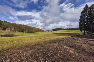 Hilly landscape, hills, coniferous forest, meadow, trees, cloud shadows, blue sky, cumulus clouds,