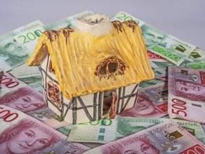 Small decorative ornamental cottage standing on Swedish 500 and 200 kronor banknotes. Symbol image