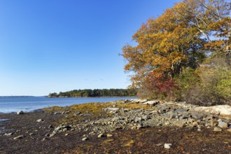 Wooded shoreline, rocky beach, low tide, Indian summer, blue sky, campground, sustainable farm in