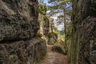 Mühlsteinbrüche hiking area near Jonsdorf in the Zittau Mountains, Upper Lusatia, Saxony, Germany