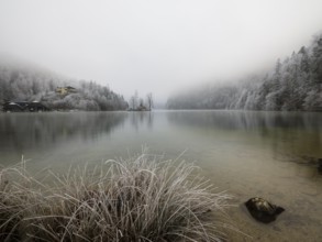 View across Königssee to boathouses, Christlieger island and frozen trees in fog, Schönau am