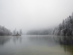 View across Königssee to Christlieger Island and frozen trees in fog, Schönau am Königssee,