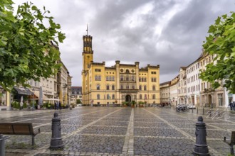 The town hall on the market square of Zittau, Upper Lusatia, Saxony, Germany
