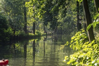 Canal or Spreewaldfließ in the Spreewald near Spreewalddorf Lehde, Lübbenau/Spreewald, Brandenburg,