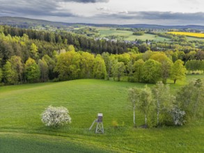 Aerial view, drone photo: Green landscape with trees, raised stand and blooming cherry tree,
