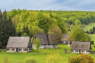 Historic houses with half-timbered timber and shingles under trees in the Seiffen open-air museum,