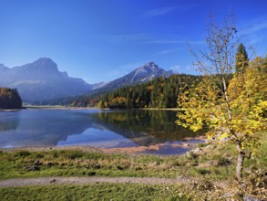 Autumn-colored forest is reflected in Obersee, Näfels, Canton of Glarus, Switzerland