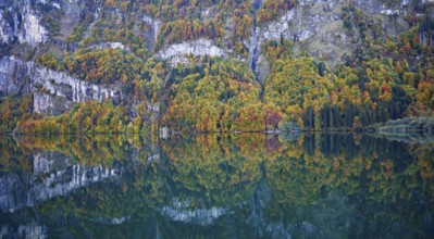 Autumn-colored forest is reflected in Lake Klöntal, Canton of Glarus, Switzerland