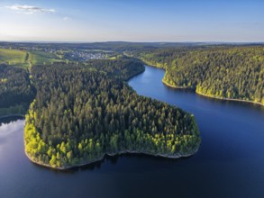 Aerial view, drone photo: spruce forest and beech trees at the Eibenstock drinking water reservoir,