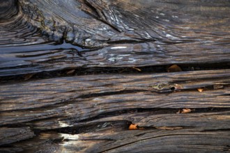 Old weathered railway threshold, detail photo, near Bresewitz station, near Zingst,