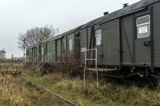 Old ice railway wagons at the former Bresewitz station, near Zingst, Mecklenburg-Western Pomerania,