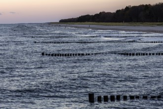 Beach, groves in the sea, evening light, Zingst, Fischland-Darß-Zingst, Western Pomerania Lagoon