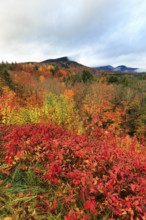 Scenic View, Fall Leaves, Indian Summer, Sugar Hill Observation Deck, Kancamagus Highway, White