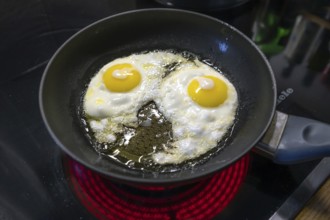 Two fried eggs in a pan on the stove, Bavaria, Germany