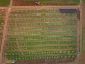 Aerial view of a solar plant on green fields with visible technical structures, energy transition,