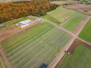 Solar frame on a field near an autumn forest and industrial site, Energiewende, construction of PV