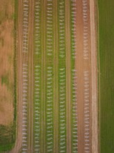 Aerial view of an agricultural field with evenly distributed solar racks in rows, energy