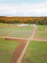 Large-scale construction project for solar energy in fields near a forest, Energiewende,