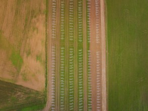 Aerial view showing fields in regular patterns with solar racks and arable land, energy transition,