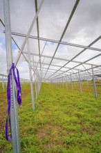 A long metal frame in a meadow running parallel to an autumn sky, Energiewende, construction of PV