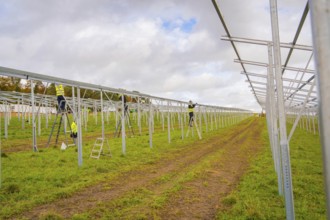 Workers assemble metal structures on a construction site in a grassy field, Energiewende,