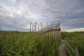 Wooden viewing platform with a view of extensive reeds under cloudy sky, Tåkern, Vadstena,