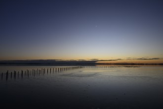 Row of posts over calm water at dusk, deep blue tones, wooden posts, boat dock posts run into the