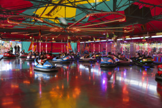 Bumper car, autodrome, bumper cars, boxing car, self-driver, fairground in Ulm Friedrichsau, public