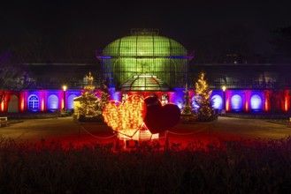 From November 29, 2025 to January 11, 2026, the palm garden and its partner World of Lights