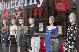 Shop window vintage fashion dolls from the 1950s, Fürth, Middle Franconia, Bavaria, Germany
