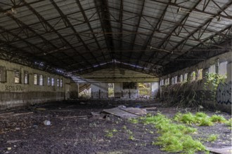Abandoned hall with Grafity, dilapidated plant of a former agricultural production cooperative of