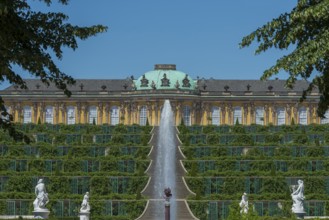 Staircase at Sanssouci Palace, Potsdam