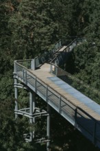 Lost Place, Treetop Trail of the Beelitz Heilstätten, Brandenburg