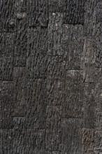 Surface with oak bark as a wood texture