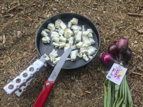 Cube of white cheese on black plate, red onions and Swiss knife, rustic outdoor environment,