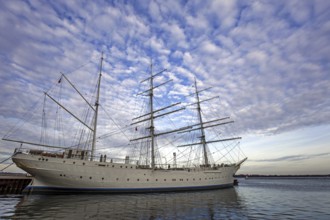 Sailing ship Gorch Fock 1 in the port of Stralsund, Hanseatic City of Stralsund,