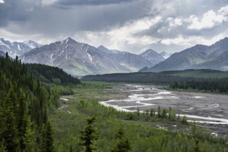 Taiga and tundra with Teklanika River, mountain scenery of the Alaska Range with dramatic cloudy