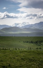 Tundra and glaciated peak of Denali or Mount McKinley, Alaska Range mountainous landscape, Denali