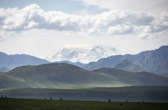 Tundra and glaciated peak of Denali or Mount McKinley, Alaska Range mountainous landscape, Denali
