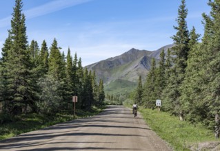 Young woman riding a bicycle on a dirt road through taiga, mountainous landscape, Denali Park Road,
