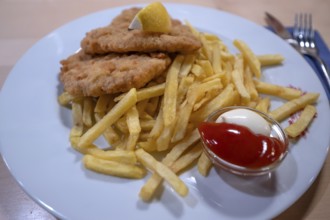 Wiener schnitzel with French fries, ketchup and mayonnaise, Franconia, Bavaria, Germany