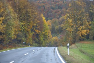 Federal road leads through an autumnal mixed forest, Gräfenberg, Upper Franconia, Bavaria, Germany