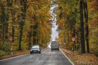 Federal road surrounded by mixed autumn forest, Gräfenberg, Upper Franconia, Bavaria, Germany