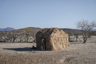 Himba huts, traditional Himba village in the savanna, arid countryside, Kaokoveld, Kunene, Namibia