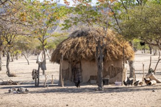 Village and hut in the savanna, Hakaona tribe, also Havakona or Hakawona, near Opuwo, Kunene,