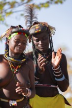 Traditional dance, brightly decorated woman of the Hakaona tribe also dance Havakona or Hakawona,