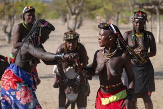 Traditional dance, brightly decorated woman of the Hakaona tribe, also Havakona or Hakawona, near