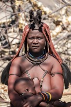 Himba woman, portrait, traditional Himba village, Kaokoveld, Kunene, Namibia