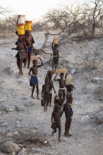 Himba woman and children run to fetch water with canisters through dry countryside, traditional
